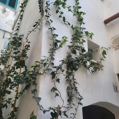 Vakantiehuis Quart0 Grec0 15